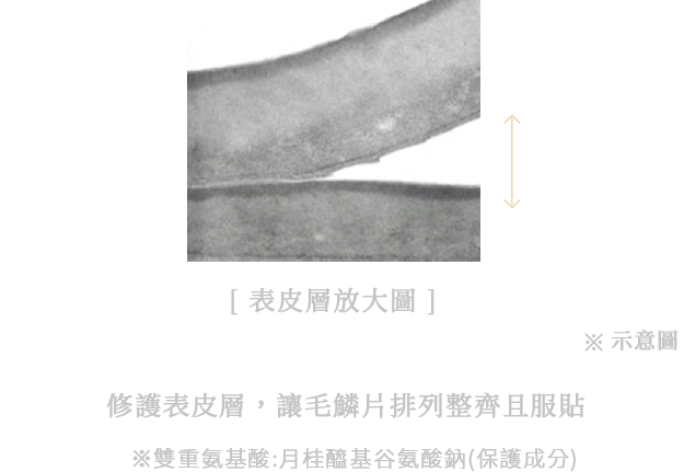 キューティクルのめくれを補修し、ぴたっと密封