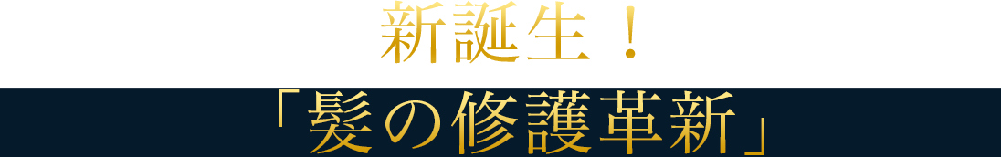 大発見！ 新次元の「イオンの補修力」